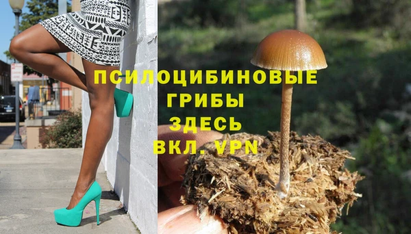 соль ск Беломорск