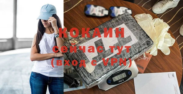 прущие грибы Сосновый Бор
