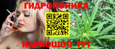 ECSTASY Кинель