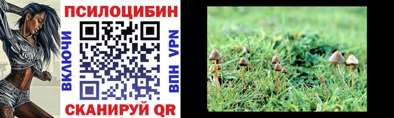 Галлюциногенные грибы ЛСД  Кушва 