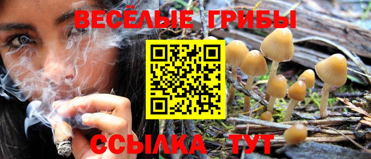 Кушва  Галлюциногенные грибы ЛСД  Вход с VPN 