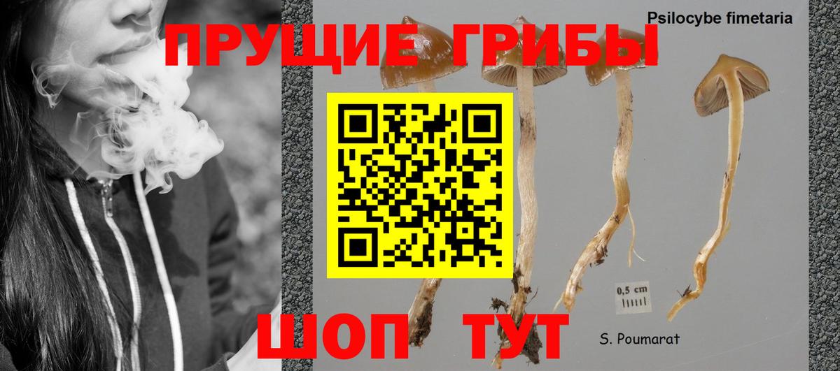 Галлюциногенные грибы MAGIC MUSHROOMS Кушва