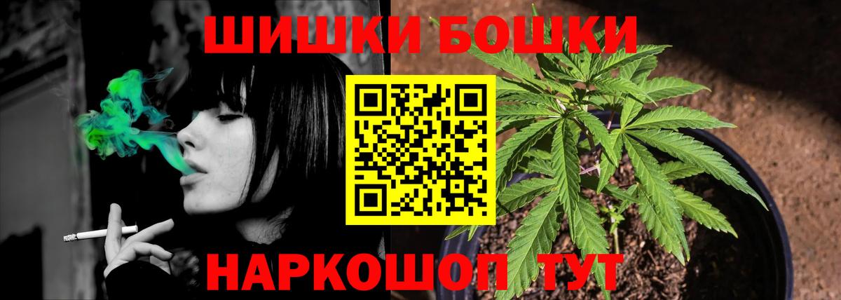 Каннабис сатива Кушва